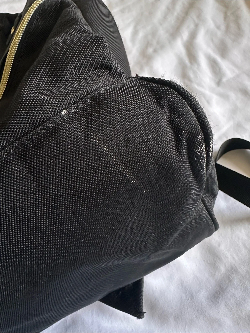 Anello Black Canvas Backpack with Gold Hardware